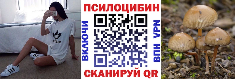 blacksprut зеркало  Фёдоровский  Галлюциногенные грибы GOLDEN TEACHER 