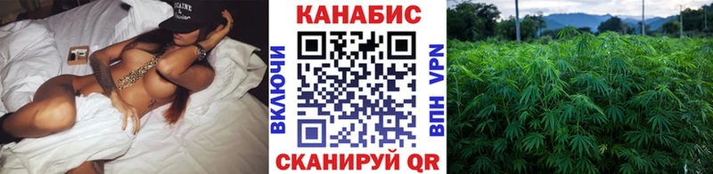 Канабис ГИДРОПОН  Фёдоровский 